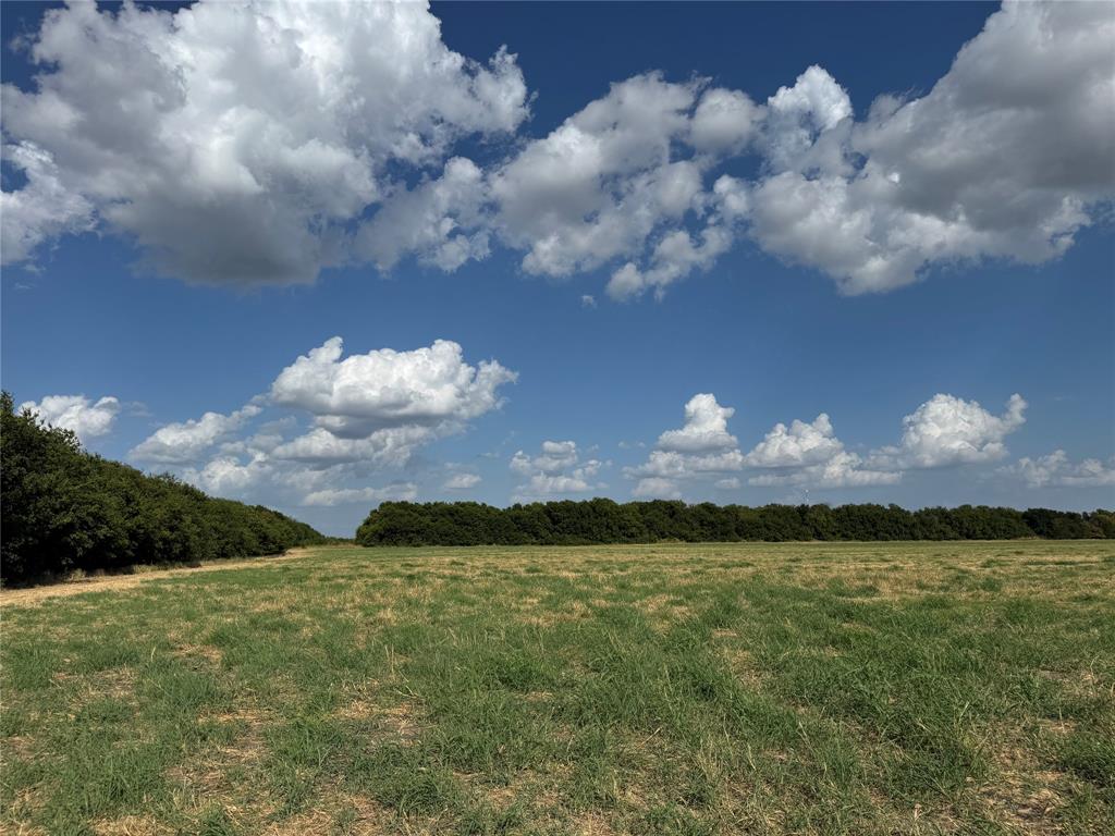 Tract 8, 13.103 Acres County Rd 3700 Property Photo 14