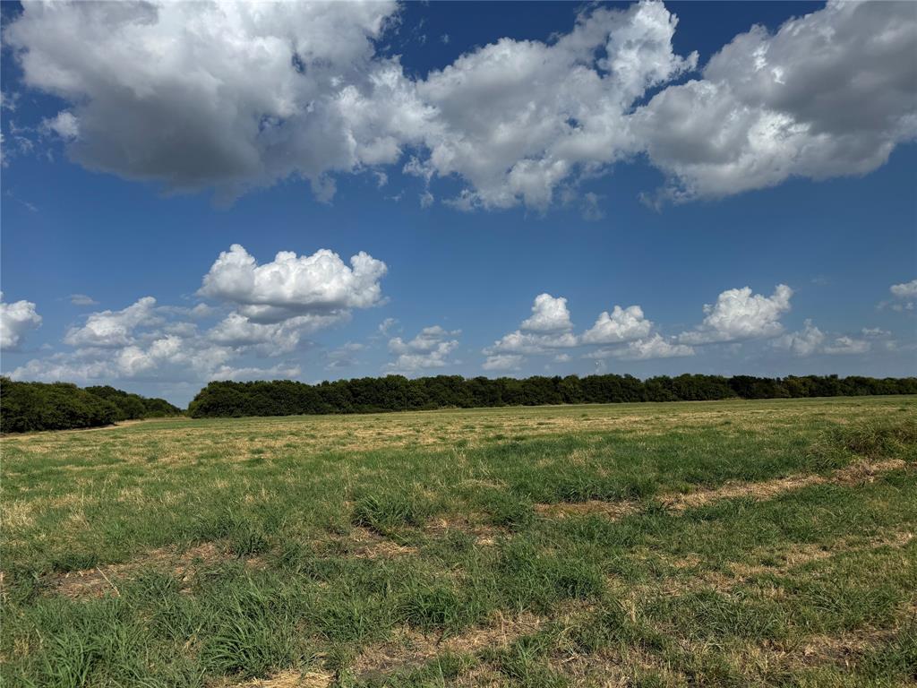 Tract 8, 13.103 Acres County Rd 3700 Property Photo 15