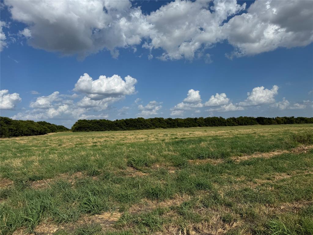 Tract 8, 13.103 Acres County Rd 3700 Property Photo 16