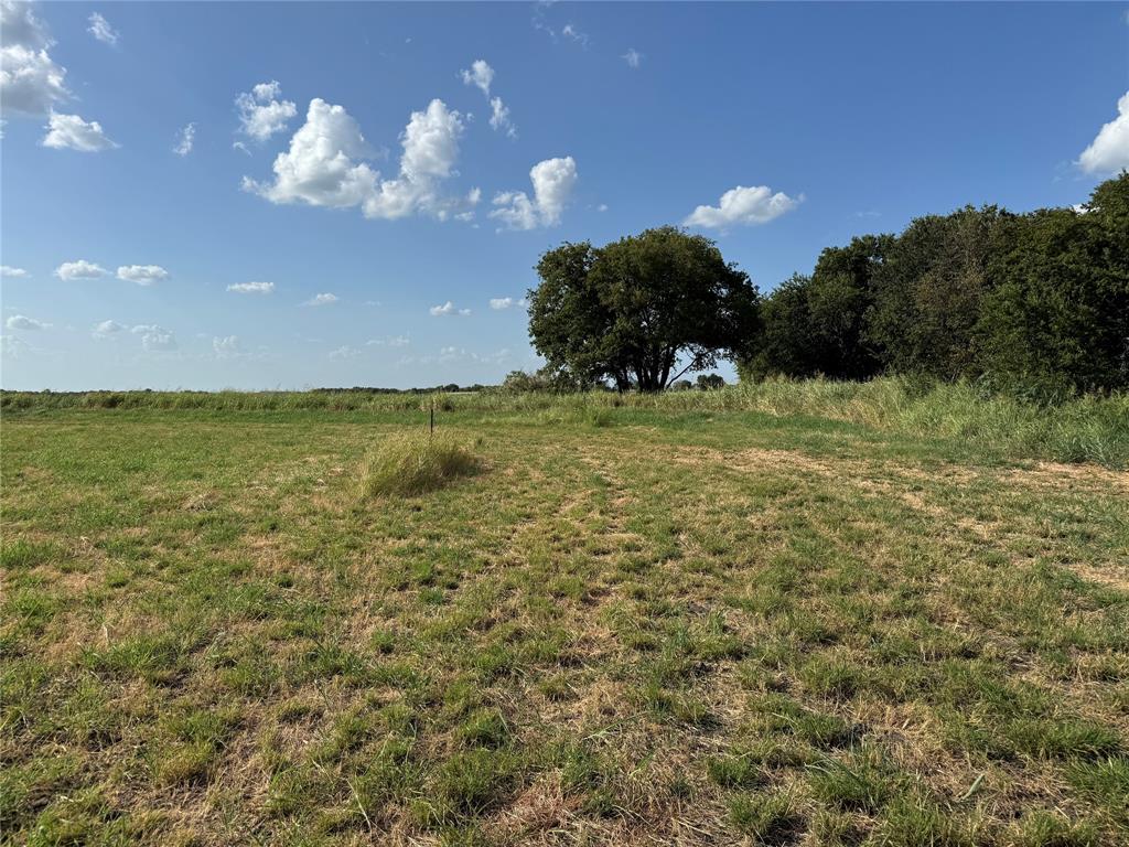 Tract 8, 13.103 Acres County Rd 3700 Property Photo 17