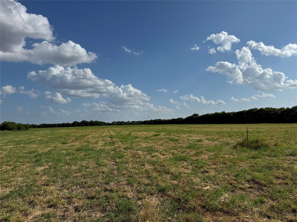 Tract 8, 13.103 Acres County Rd 3700 Property Photo 18
