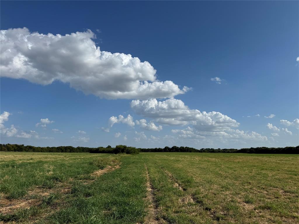 Tract 8, 13.103 Acres County Rd 3700 Property Photo 19