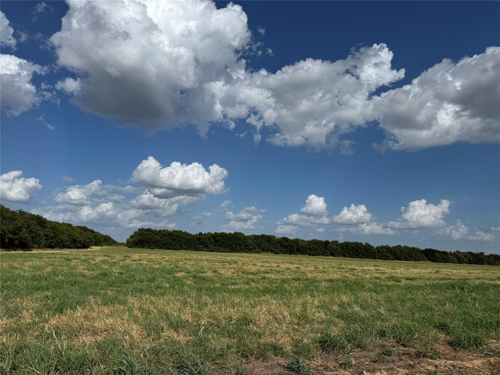 Tract 8, 13.103 Acres County Rd 3700 Property Photo 20