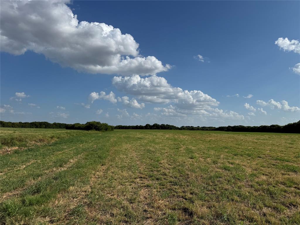 Tract 8, 13.103 Acres County Rd 3700 Property Photo 22