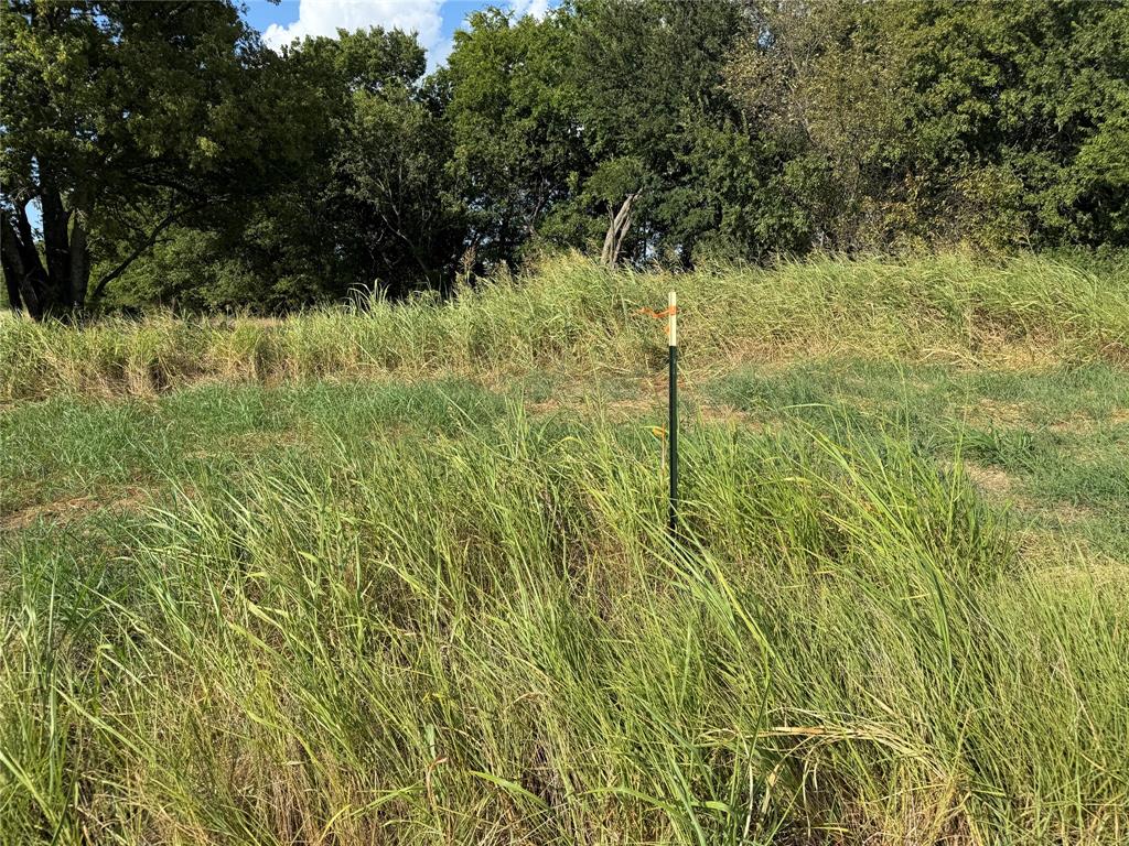Tract 8, 13.103 Acres County Rd 3700 Property Photo 23