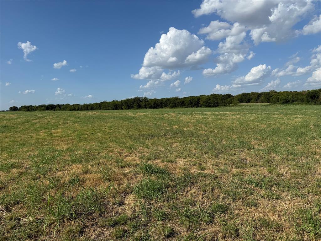 Tract 8, 13.103 Acres County Rd 3700 Property Photo 24