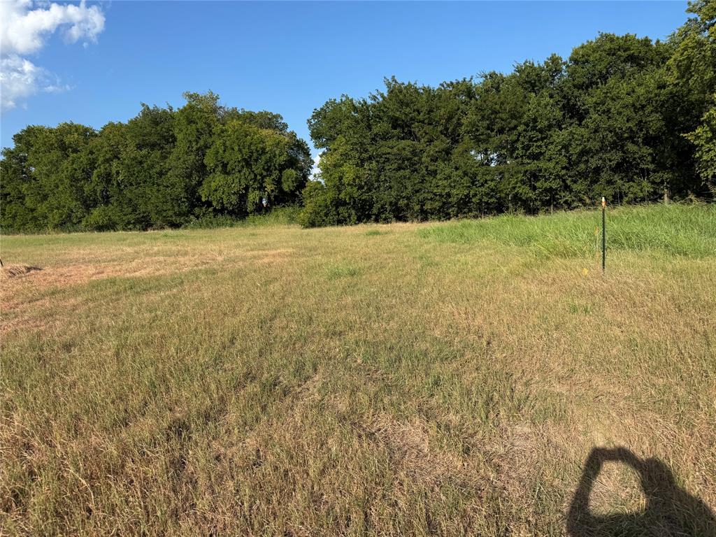 Tract 8, 13.103 Acres County Rd 3700 Property Photo 34