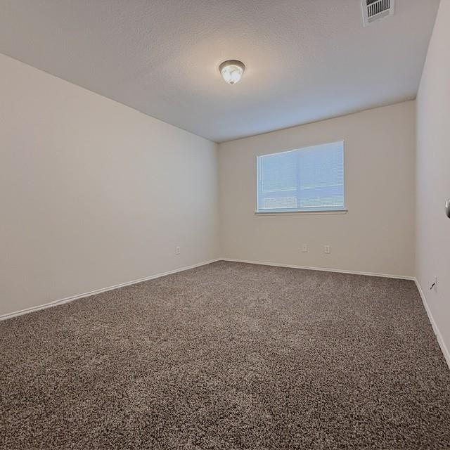 436 Emerald Creek Drive Property Photo 14