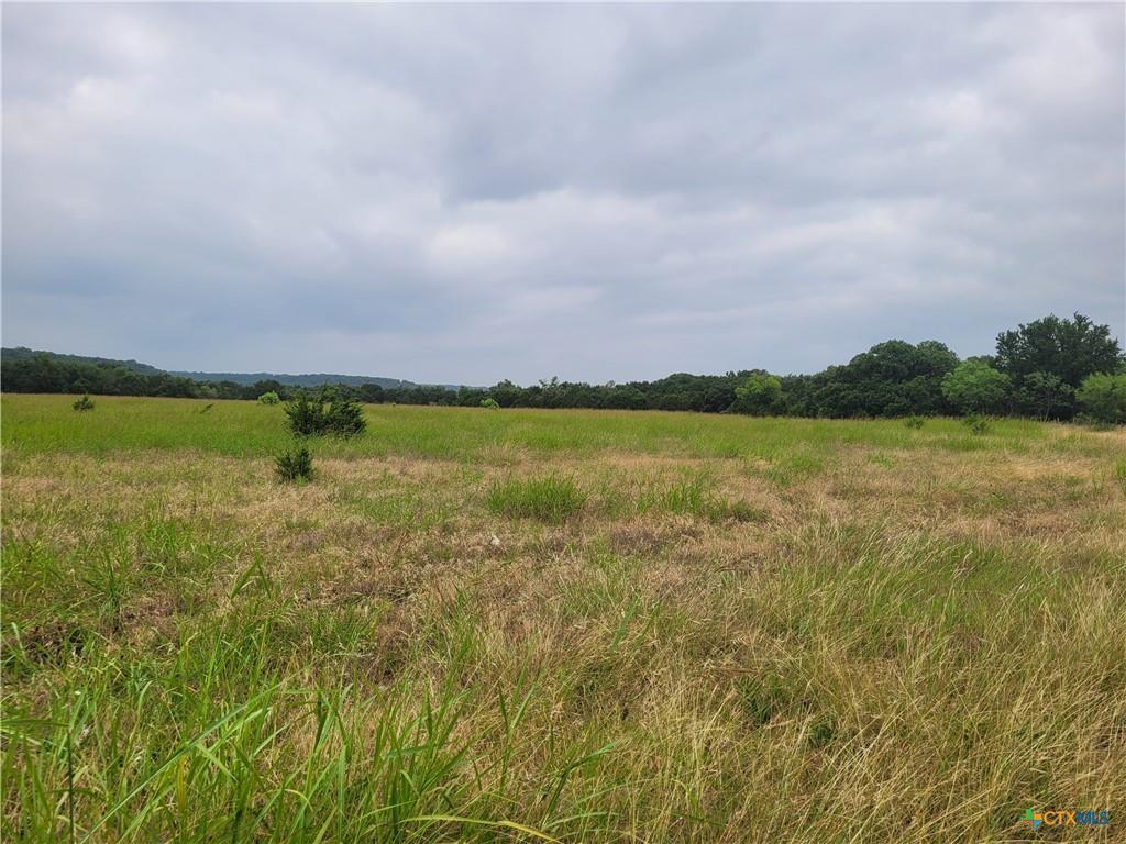 Tbd E Highway 190 Property Photo 1