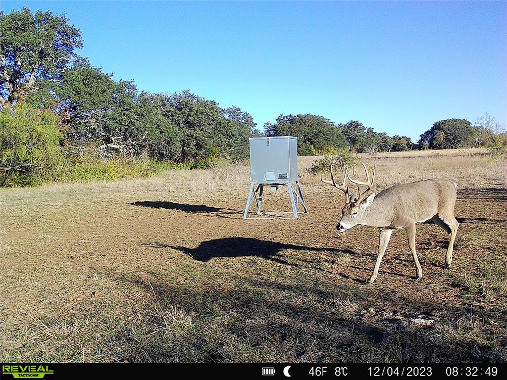 11 County Road 191 Property Photo 1