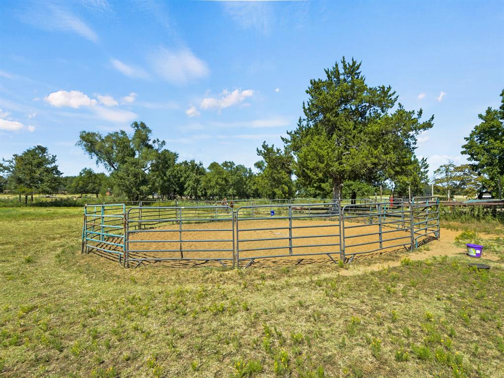 2045 County Road 113 Property Photo 19