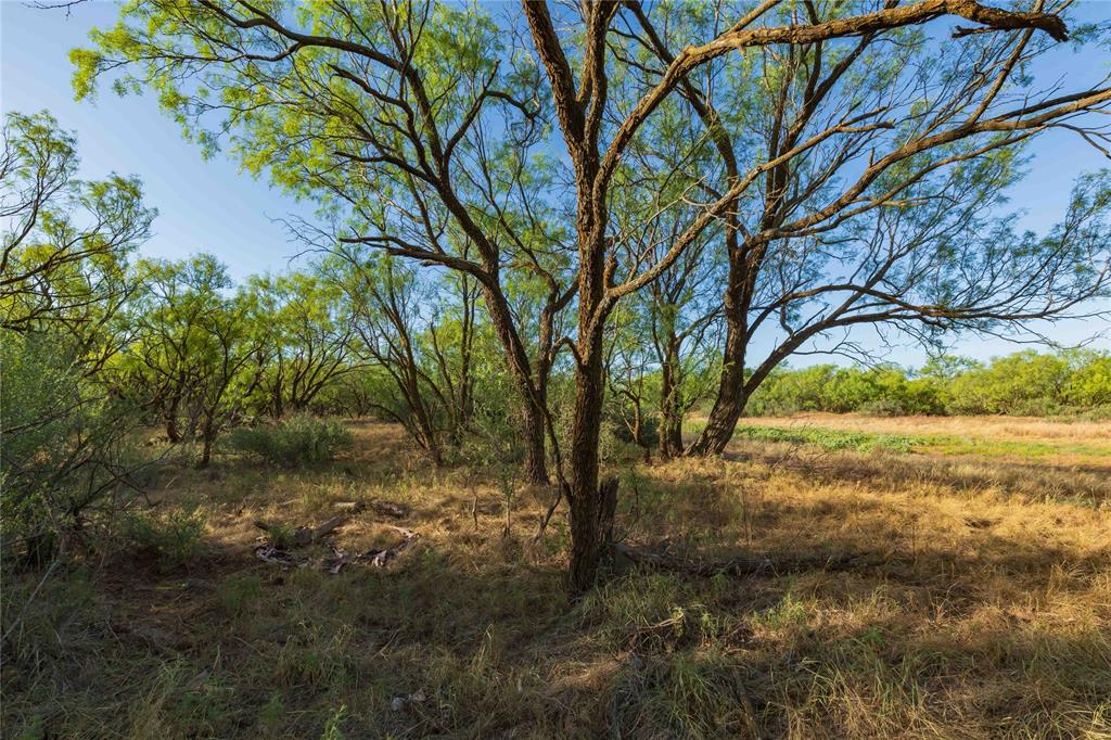 Oo Fm 1226 Property Photo 3