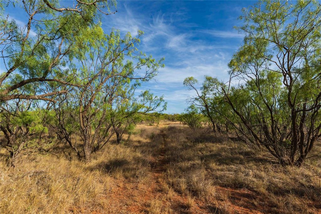 Oo Fm 1226 Property Photo 5