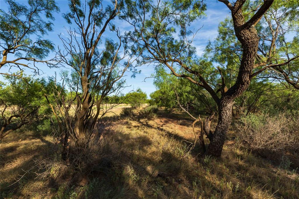 Oo Fm 1226 Property Photo 6