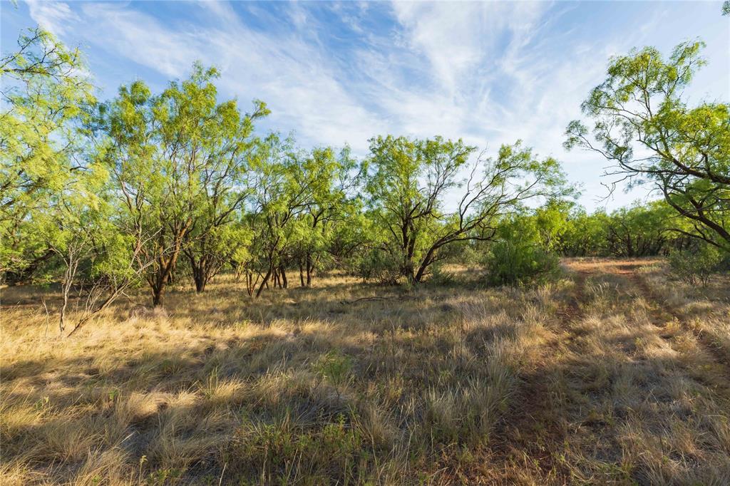 Oo Fm 1226 Property Photo 8
