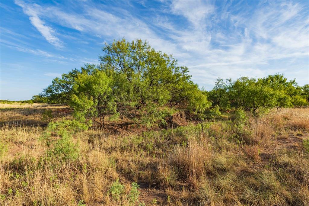Oo Fm 1226 Property Photo 9