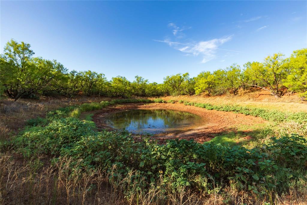 Oo Fm 1226 Property Photo 10