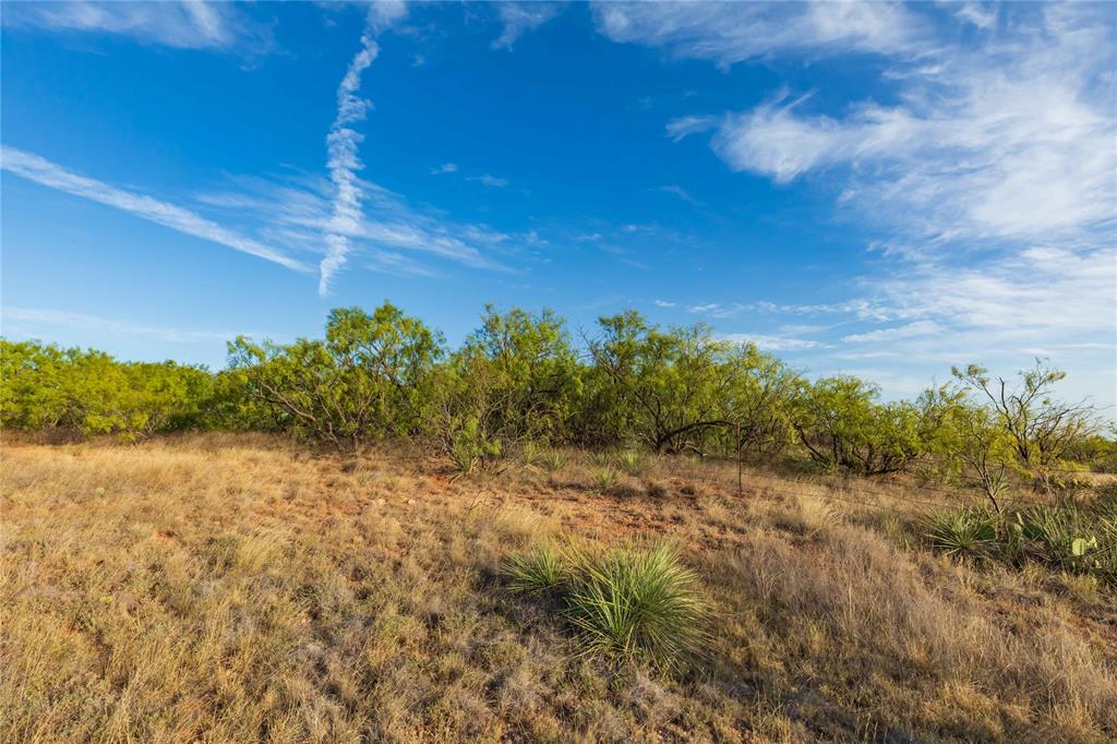 Oo Fm 1226 Property Photo 11