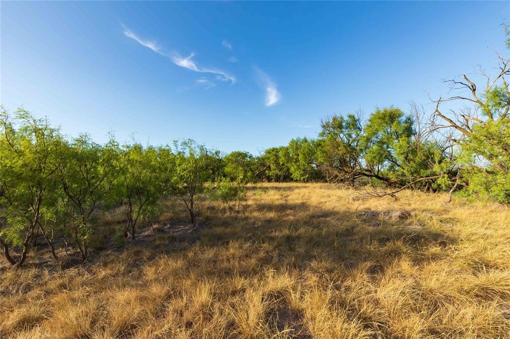 Oo Fm 1226 Property Photo 13