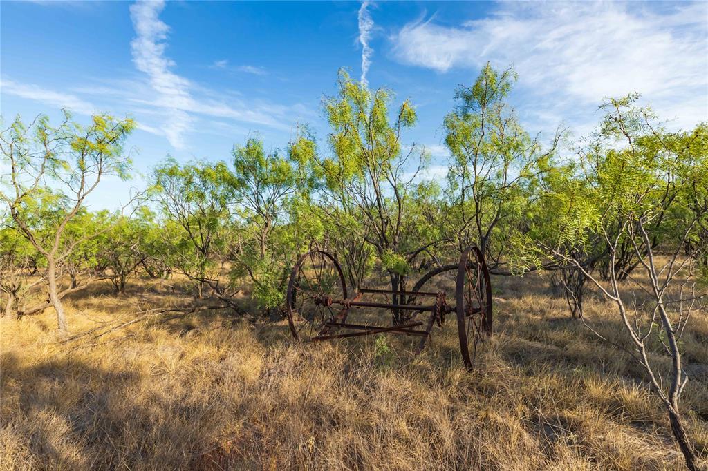 Oo Fm 1226 Property Photo 16