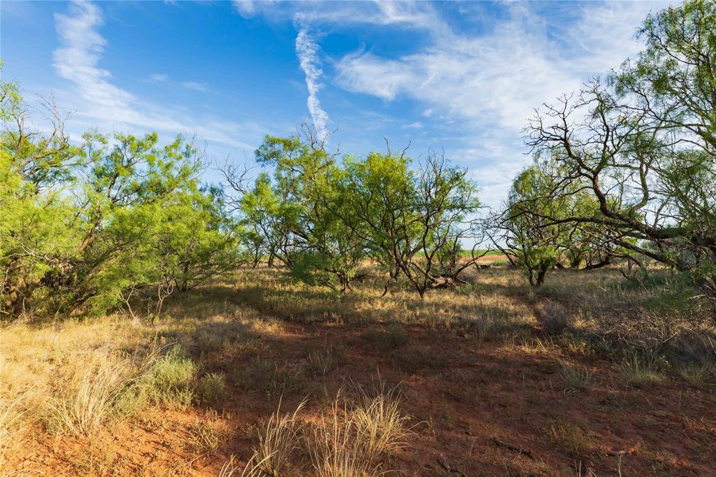 Oo Fm 1226 Property Photo 18