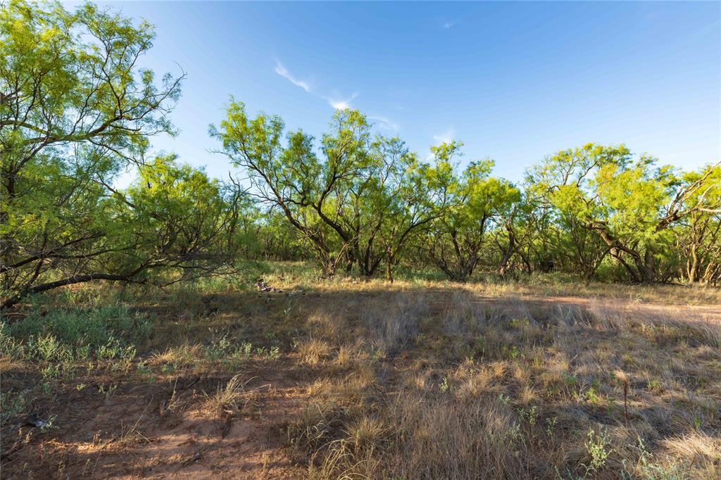 Oo Fm 1226 Property Photo 20