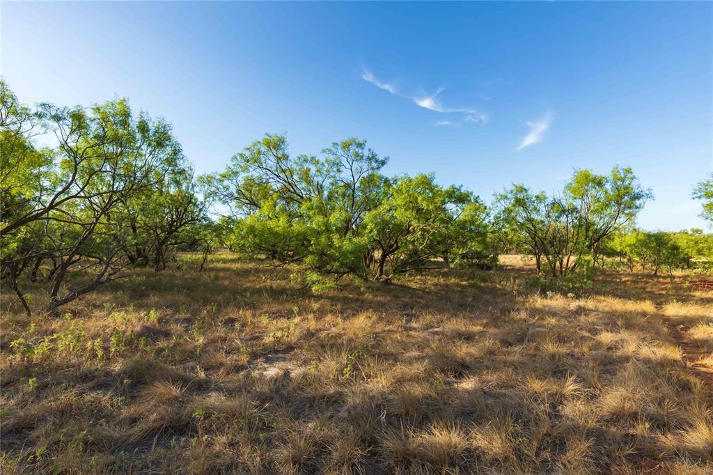 Oo Fm 1226 Property Photo 21
