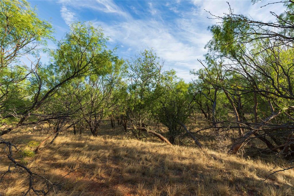Oo Fm 1226 Property Photo 24