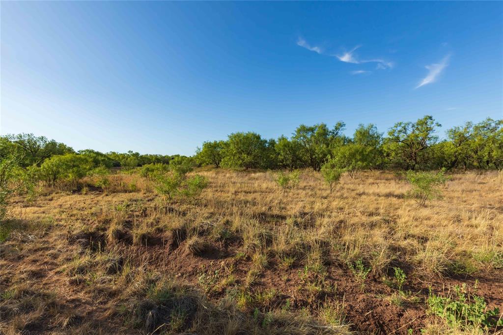 Oo Fm 1226 Property Photo 28