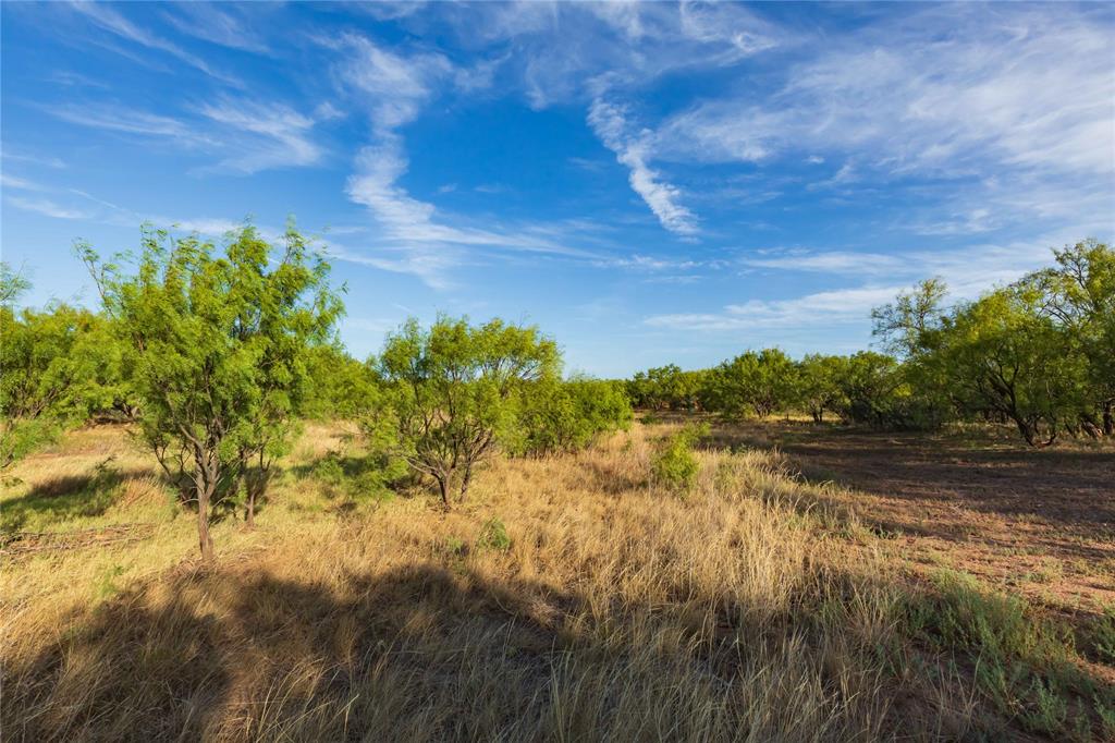 Oo Fm 1226 Property Photo 31