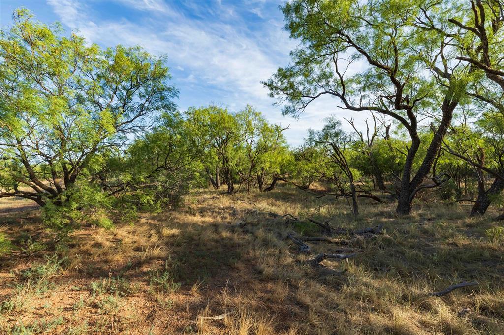 Oo Fm 1226 Property Photo 32