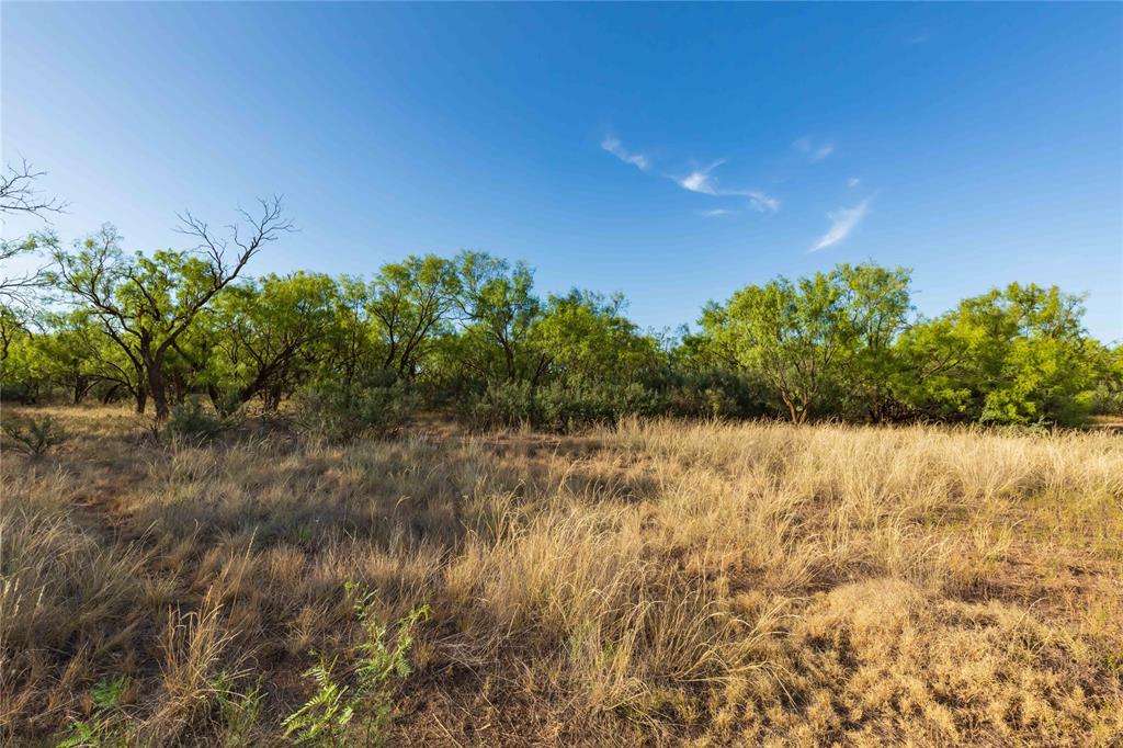 Oo Fm 1226 Property Photo 35