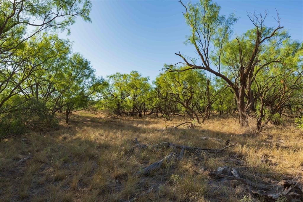 Oo Fm 1226 Property Photo 39