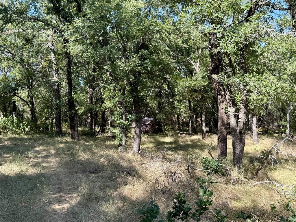3931 County Road 607 Property Photo 32