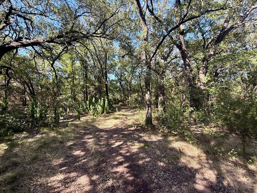 3931 County Road 607 Property Photo 33