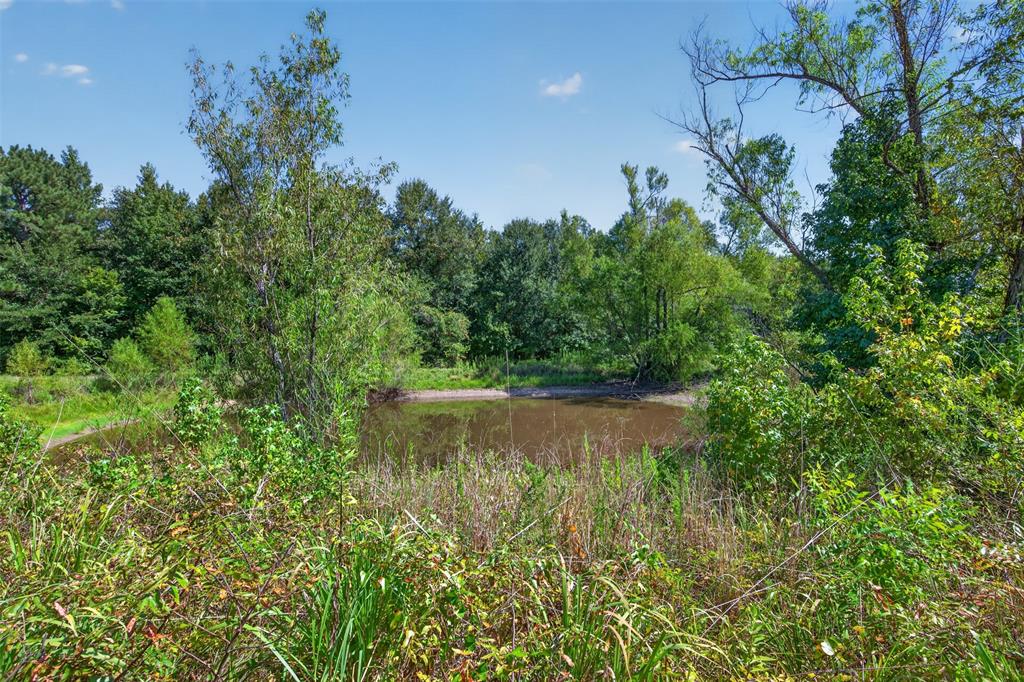 13009 Four Forks Road Property Photo 7