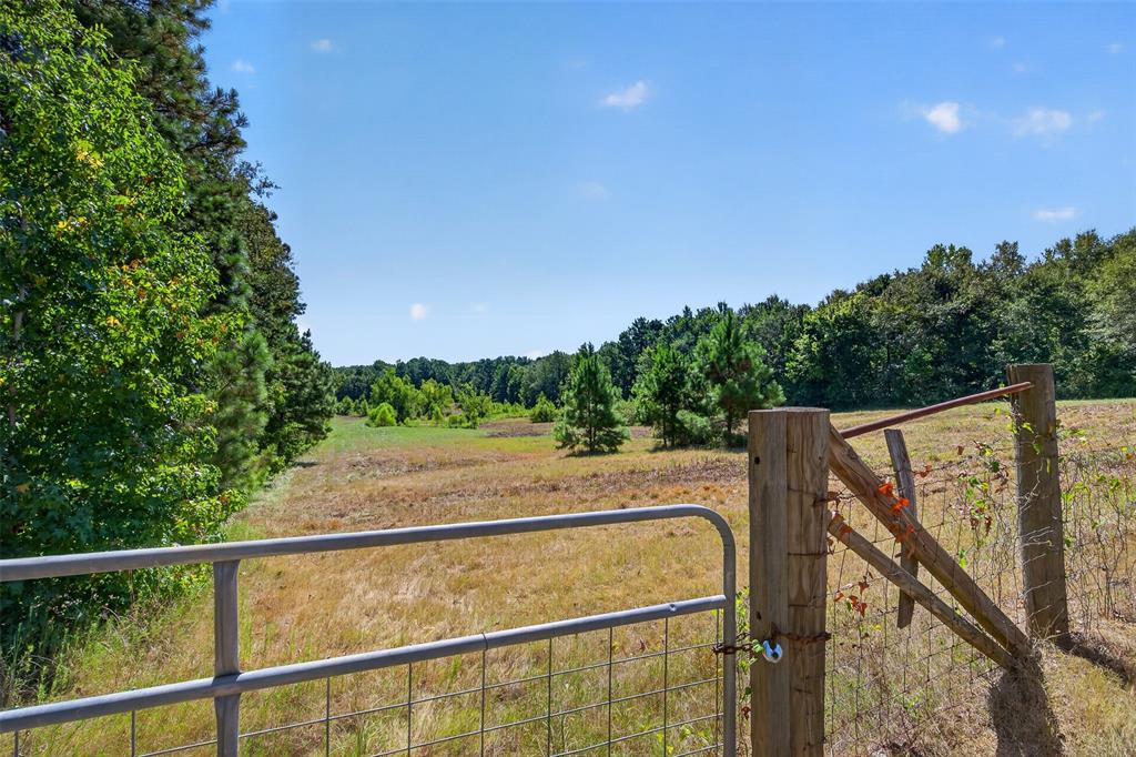 13009 Four Forks Road Property Photo 8