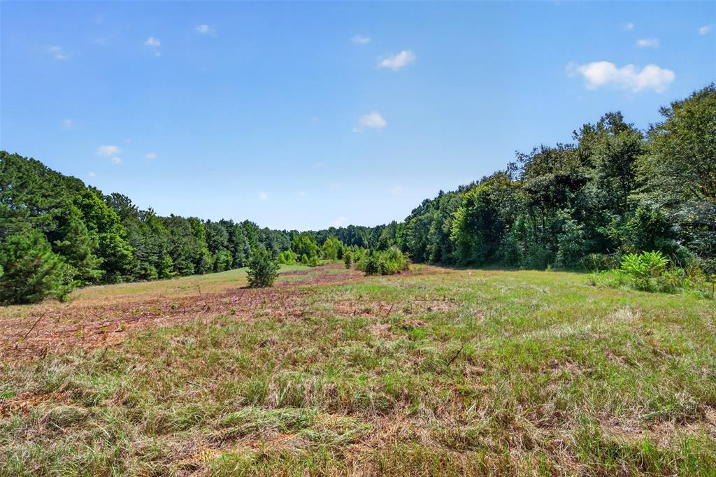 13009 Four Forks Road Property Photo 10