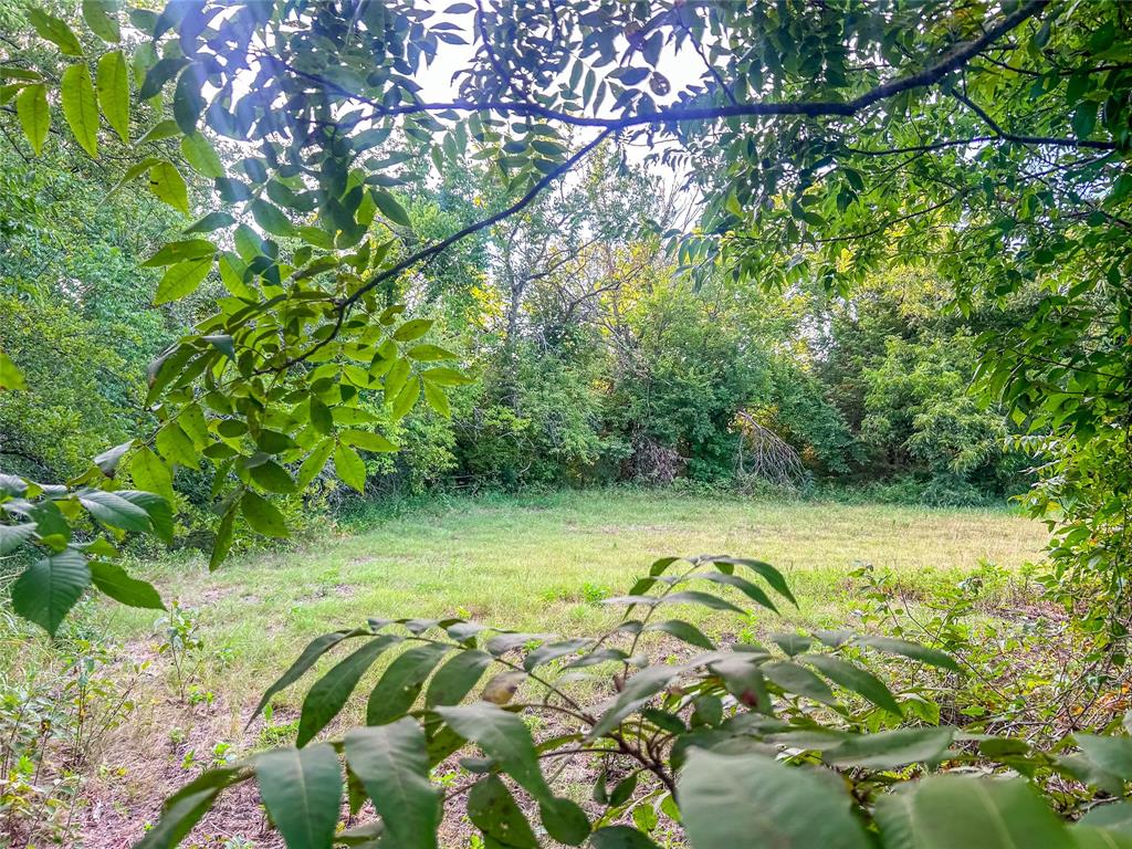 5201 Windmill Lane Property Photo 34