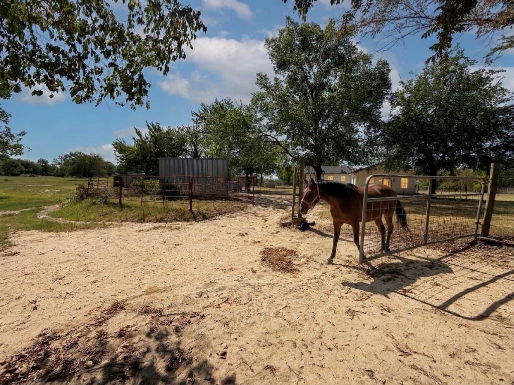 32951 Fm 47 Property Photo 6