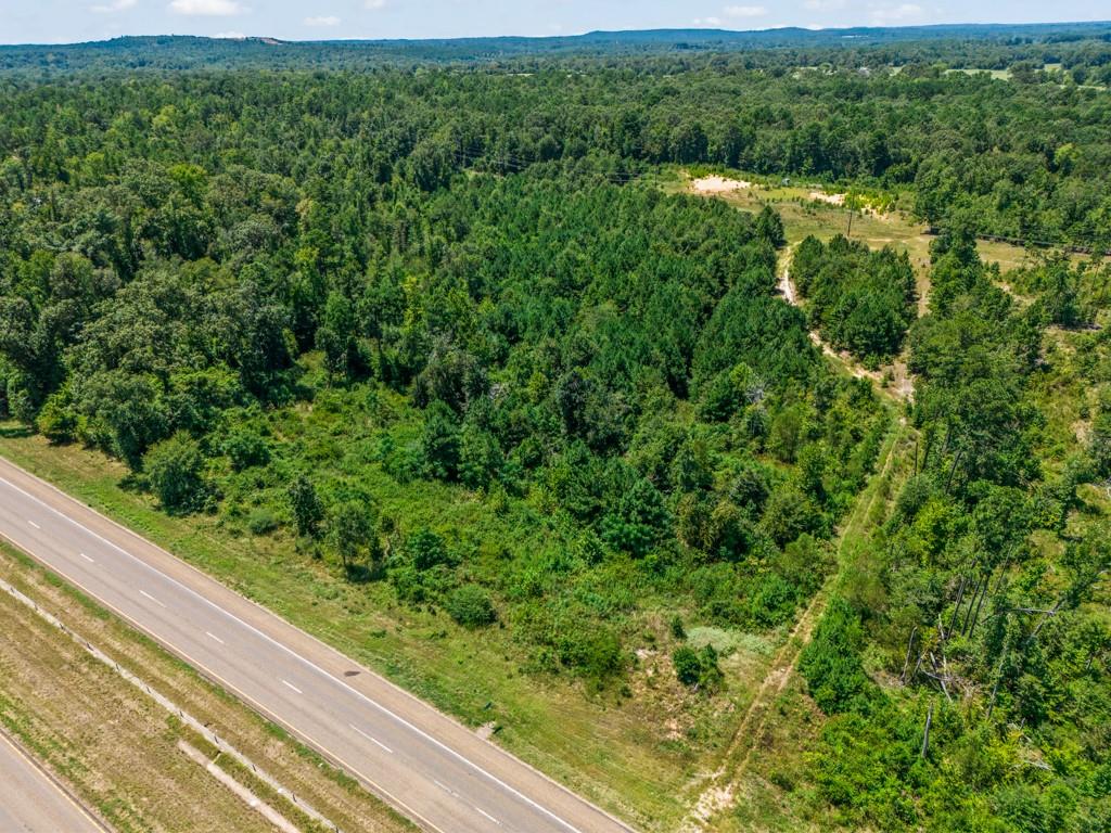 Tbd Us Hwy 259 N Property Photo 1