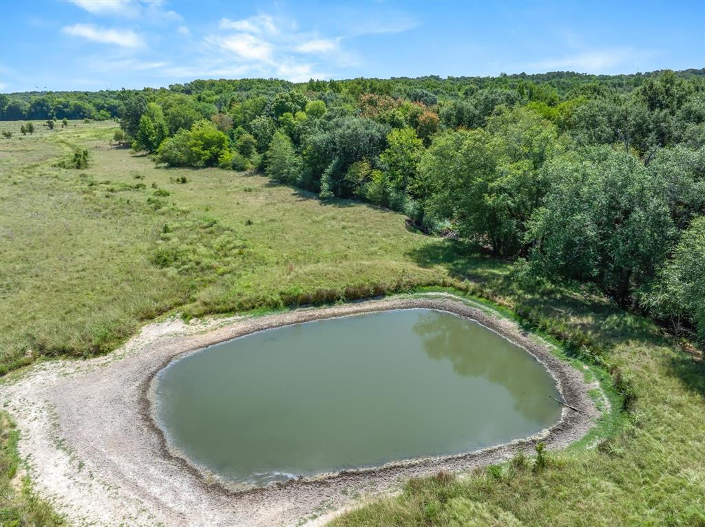 Tbd Vz County Road 4503 Property Photo 10