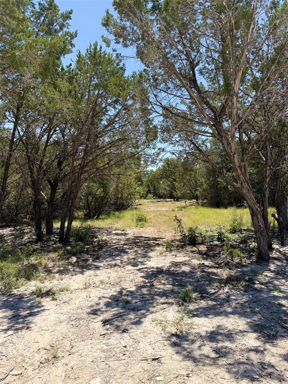 11023 Paradise Boulevard Property Photo 4