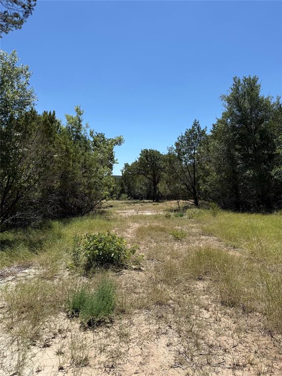 11023 Paradise Boulevard Property Photo 5