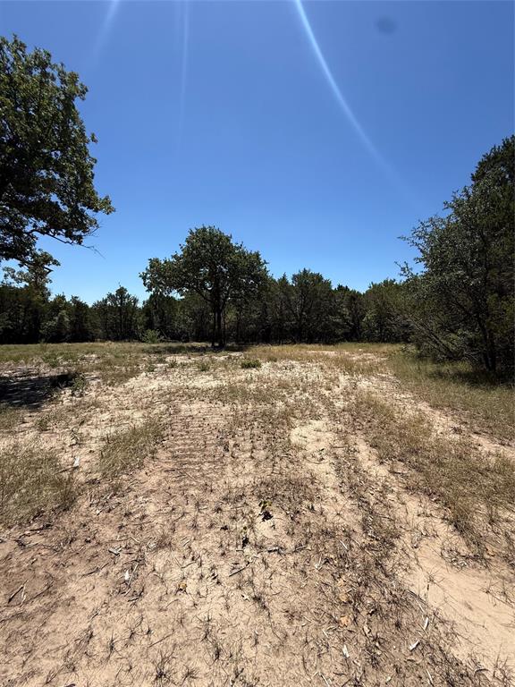 11023 Paradise Boulevard Property Photo 6