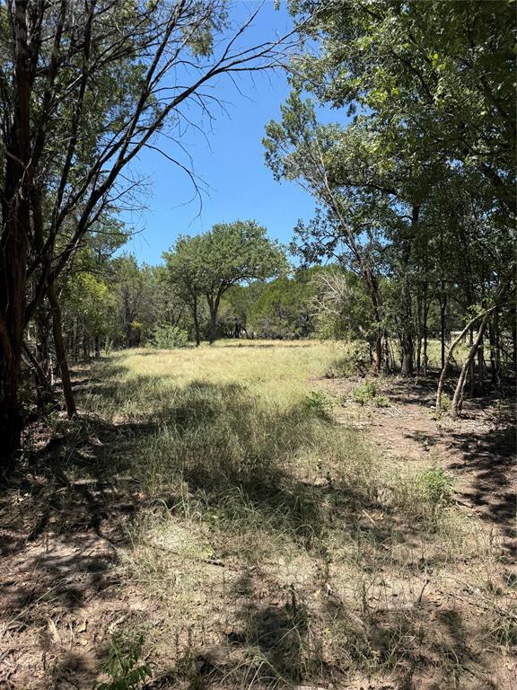 11023 Paradise Boulevard Property Photo 8