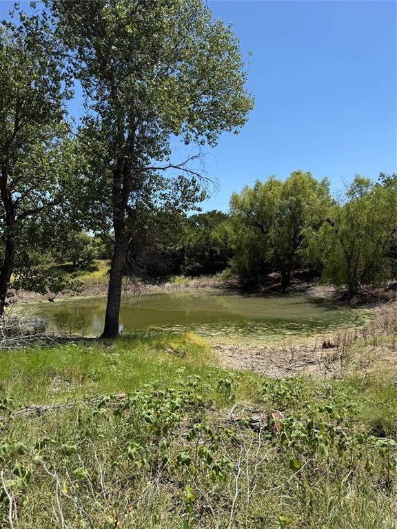 11023 Paradise Boulevard Property Photo 9