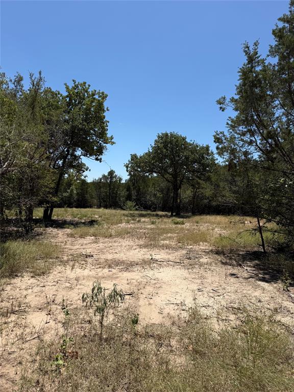 11023 Paradise Boulevard Property Photo 10