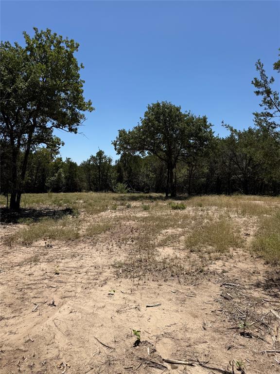 11023 Paradise Boulevard Property Photo 11