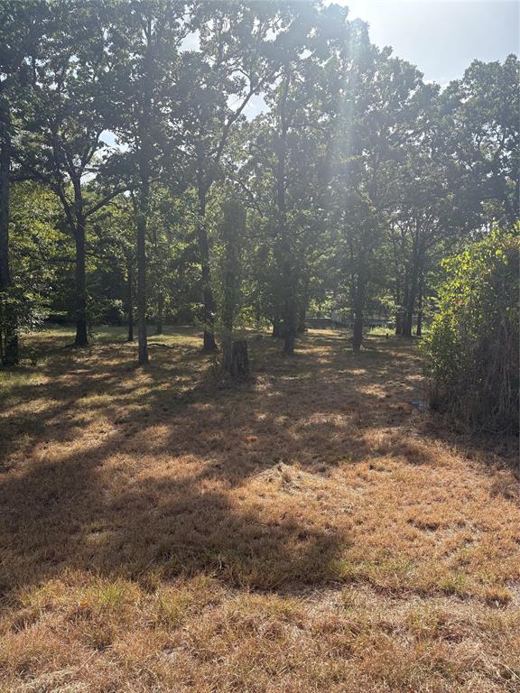 362 Buena Vista Property Photo 1